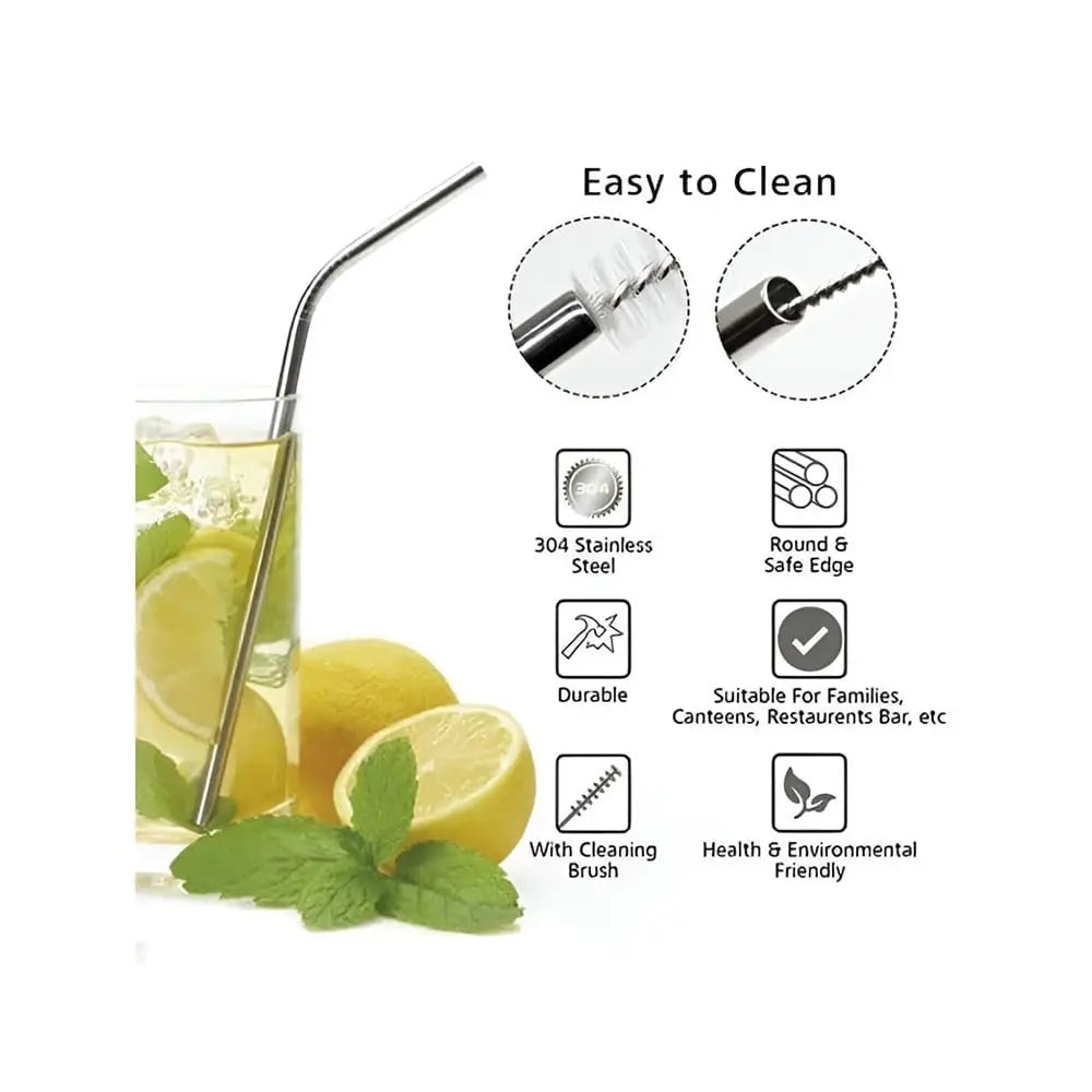 HOME LANE Stainless Steel Straw Set with Brush