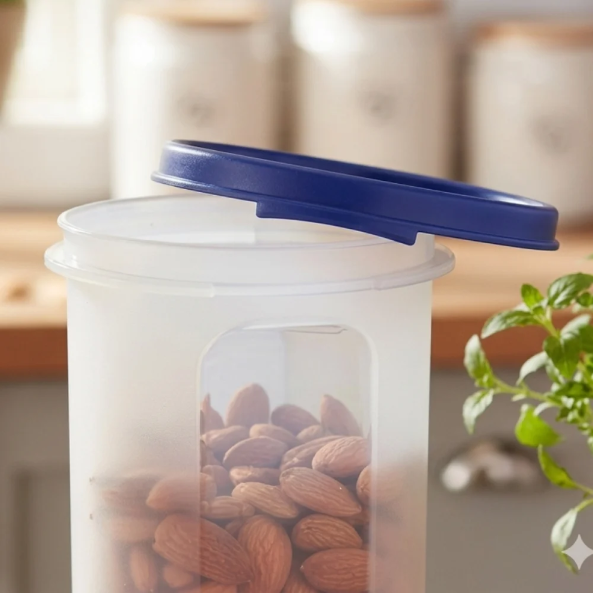 Tinums Plastic Kitchen Storage Container (Set of 6)